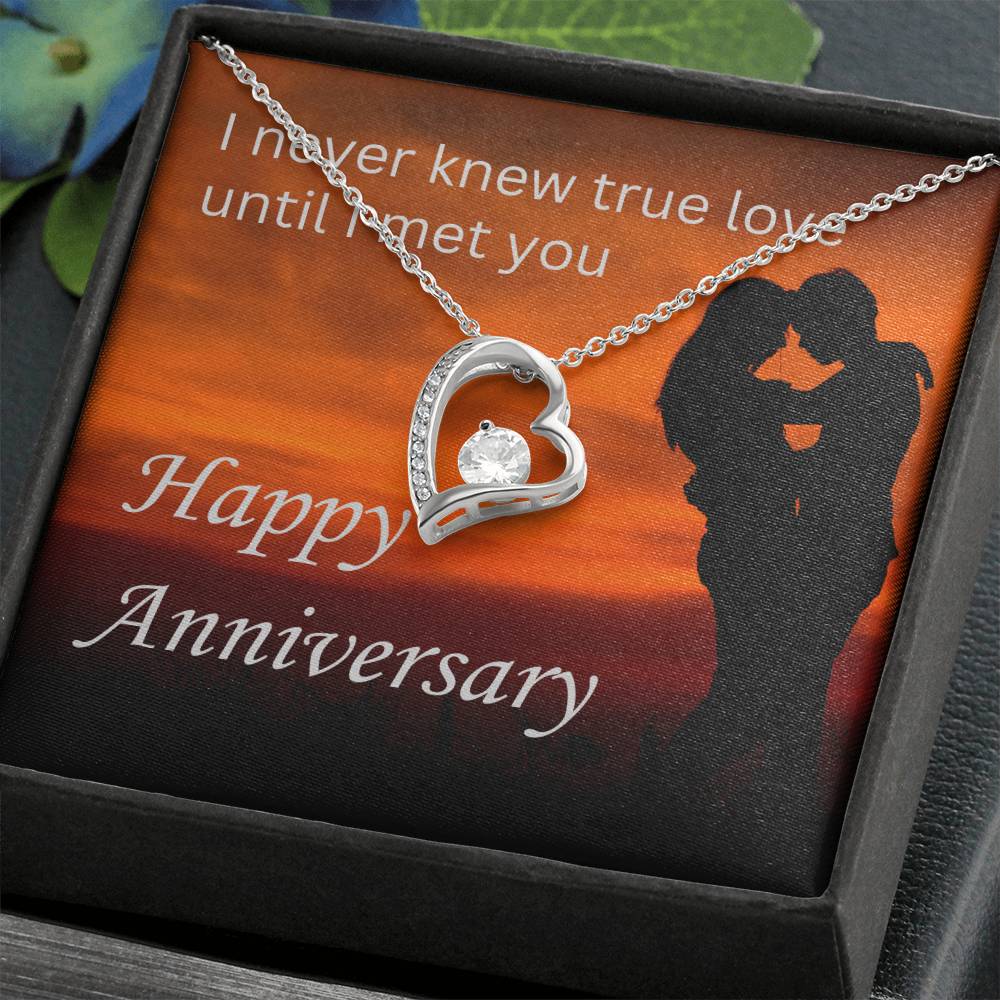 Until I Met You - Forever Love Necklace